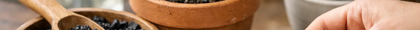 Biochar for Houseplants: Is It Worth It?