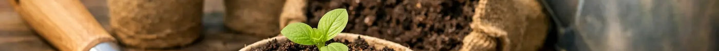 A Practical Guide to Peat Free Compost