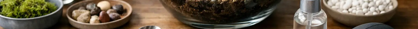 Terrarium Tool Kit: What You Actually Need
