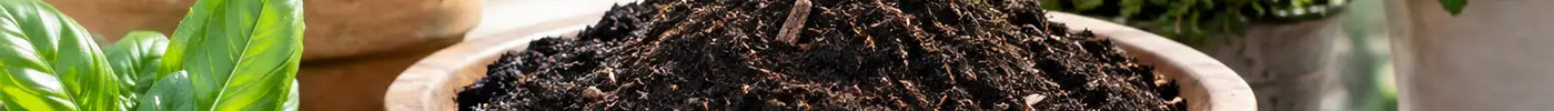 Peat Free Compost for Herbs That Actually Works