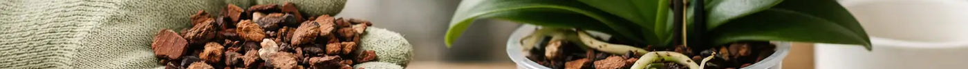How to Use Orchid Bark the Right Way