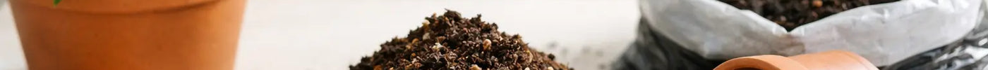 How to Choose Houseplant Compost That Works
