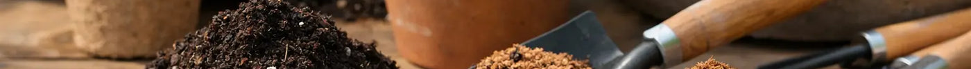 Should You Mix Peat Moss with Potting Soil?