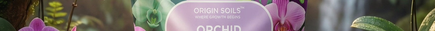 About Orchids