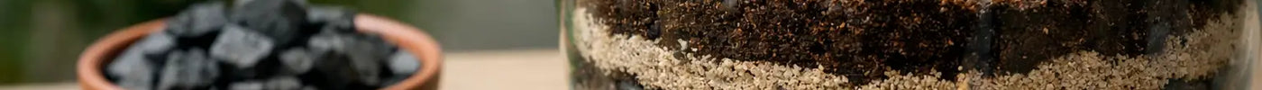 A Practical Guide to Terrarium Drainage Layers