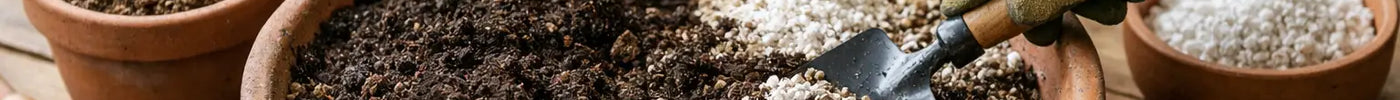 How to Refresh Old Potting Mix at Home