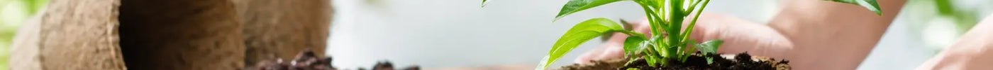 Peat Free Innovations for Healthier Plants
