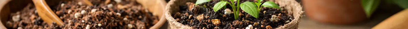 Peat Free Potting Mix Review: What Matters
