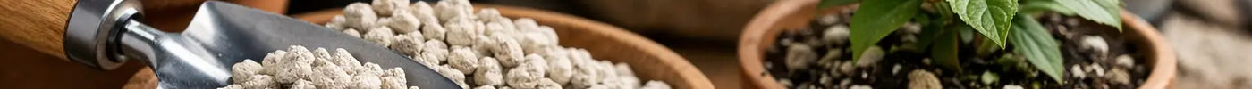 How to Use Pumice for Plants Properly