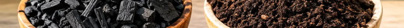 Biochar vs Worm Castings: Which Suits Your Plants?