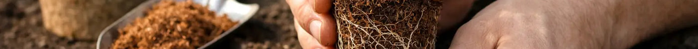How to Plant With Coir for Healthier Roots
