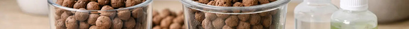 LECA Growing Kit Review for UK Plant Lovers