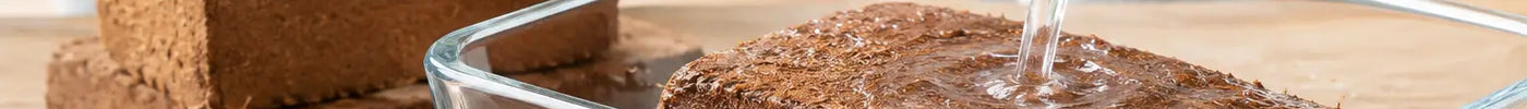 How to Hydrate Coir Bricks for Healthy Plants