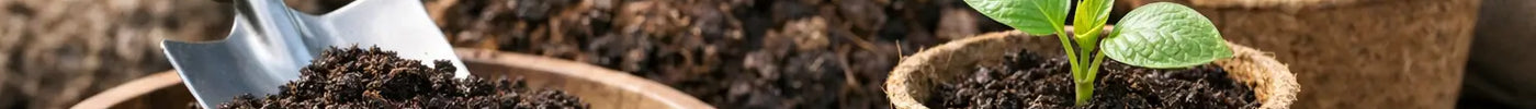 Peat Free Compost: What Actually Works
