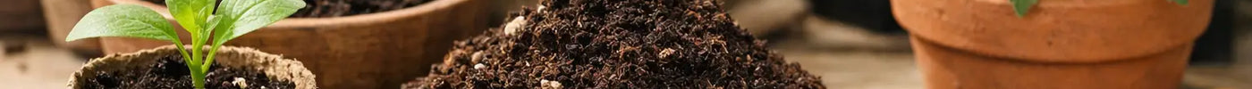 Best Organic Peat-Free Potting Soil