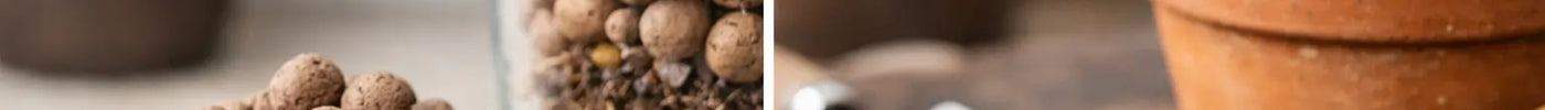 LECA vs Soil: Which Is Better?
