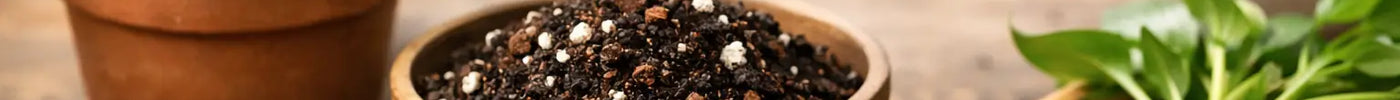 How to Choose Houseplant Soil That Roots Love