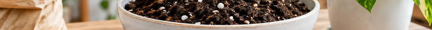 Best Soil Amendments Indoors: What Works?