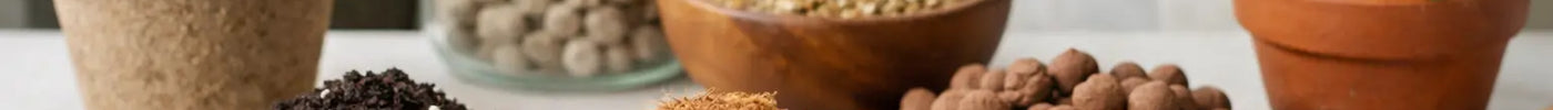 Indoor Plant Growing Media Explained