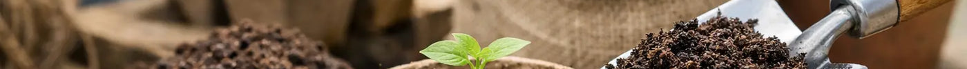 What Is the Best Peat Free Multi Purpose Compost?