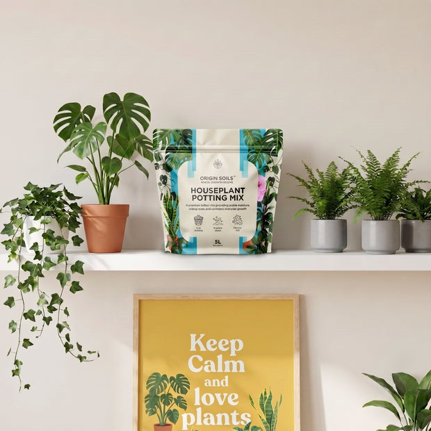 Banner image for: <h3>HOUSEPLANT MIX</h3>