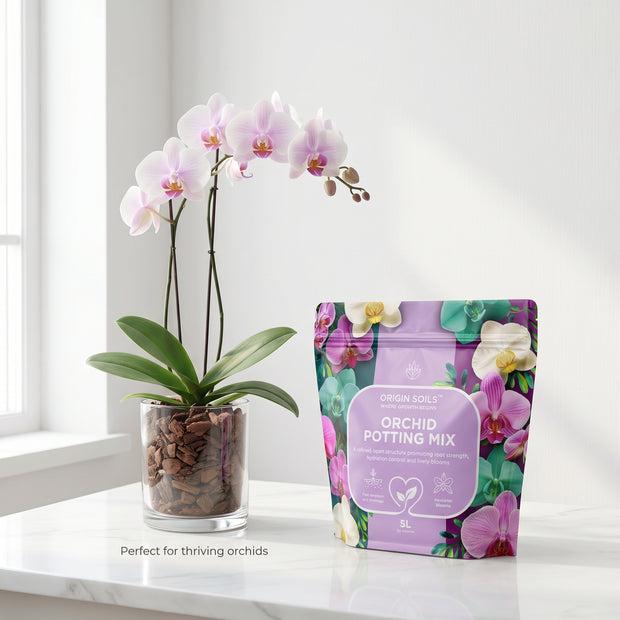 Banner image for: <h3>ORCHID MIX</h3>