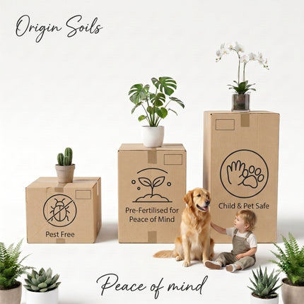 Premium Houseplant Potting Mix